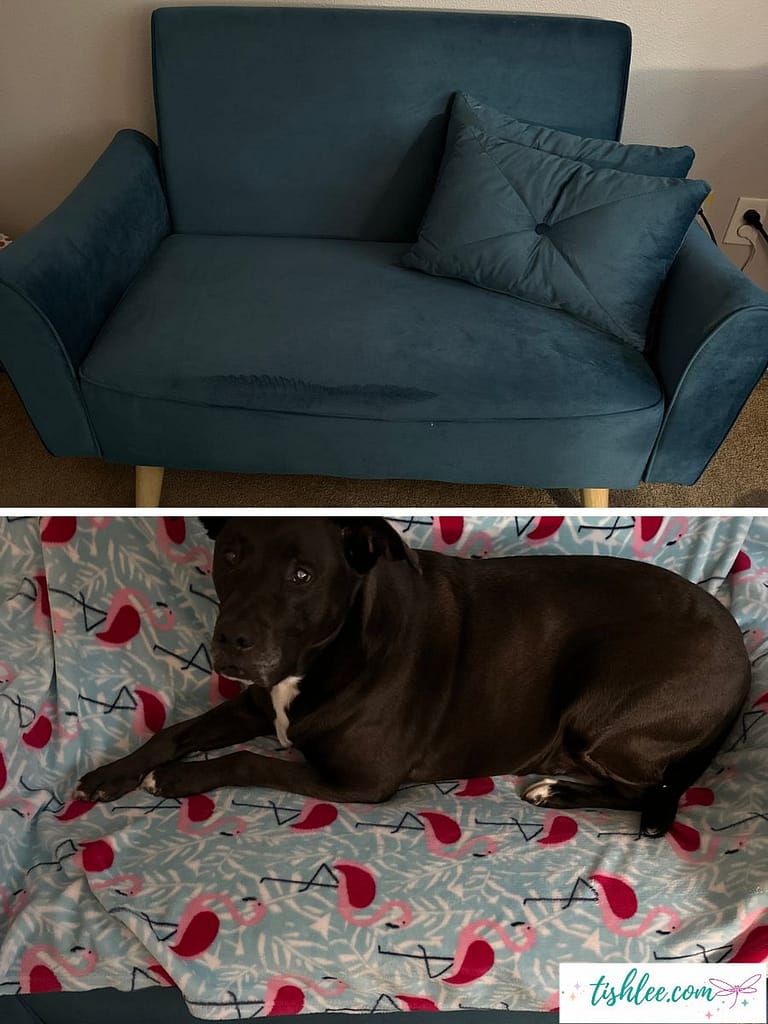 blue velvet couch